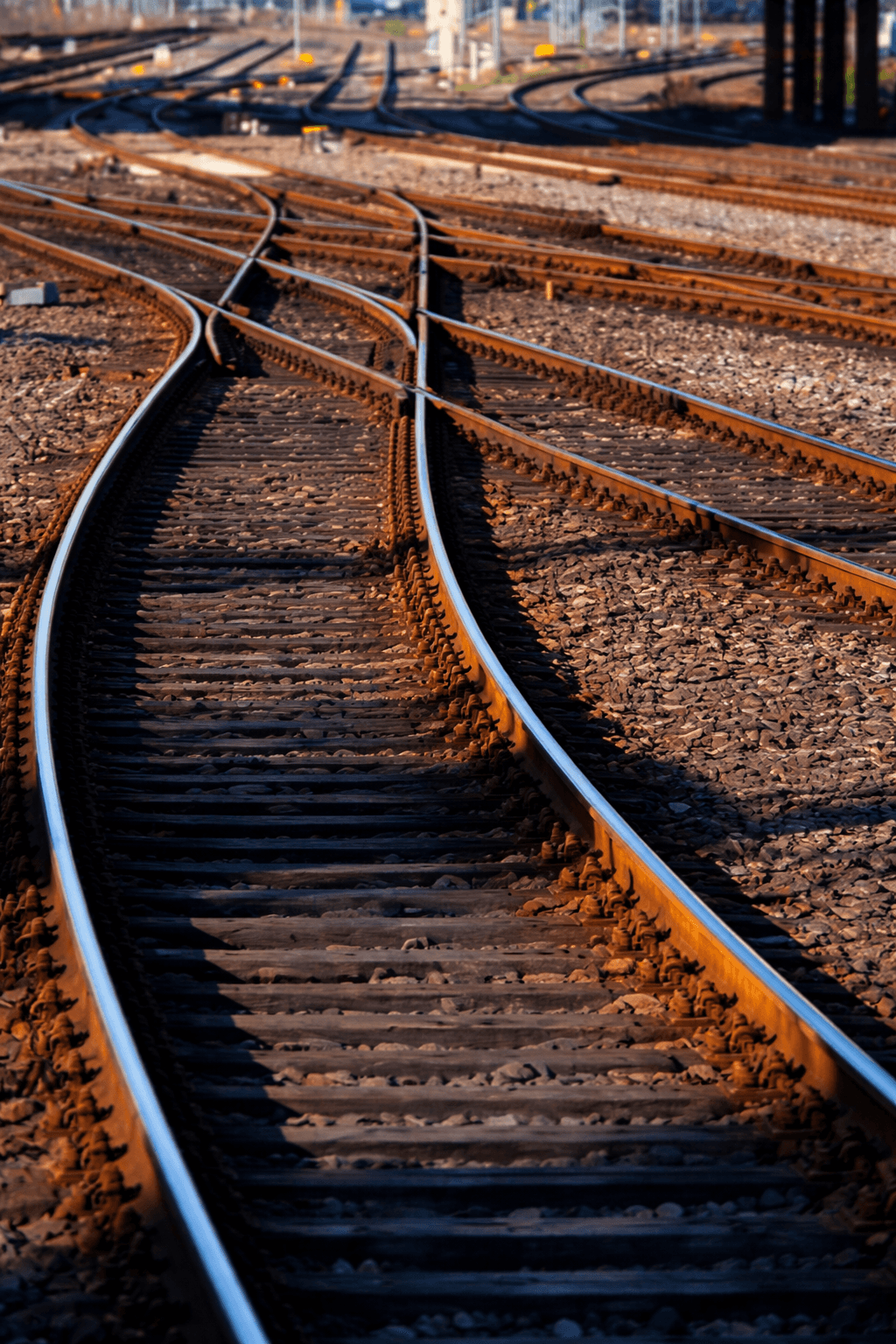 On Track for Progress image 2
